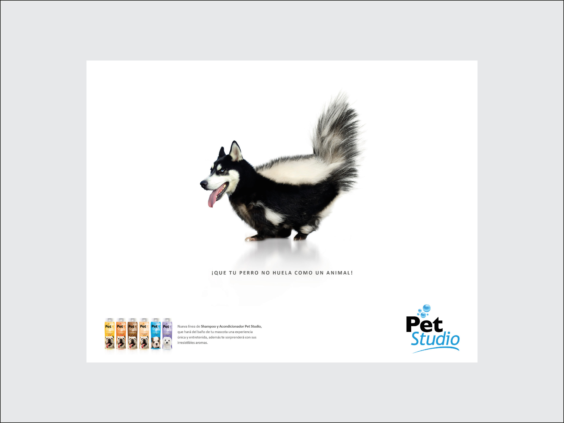 Pet Studio