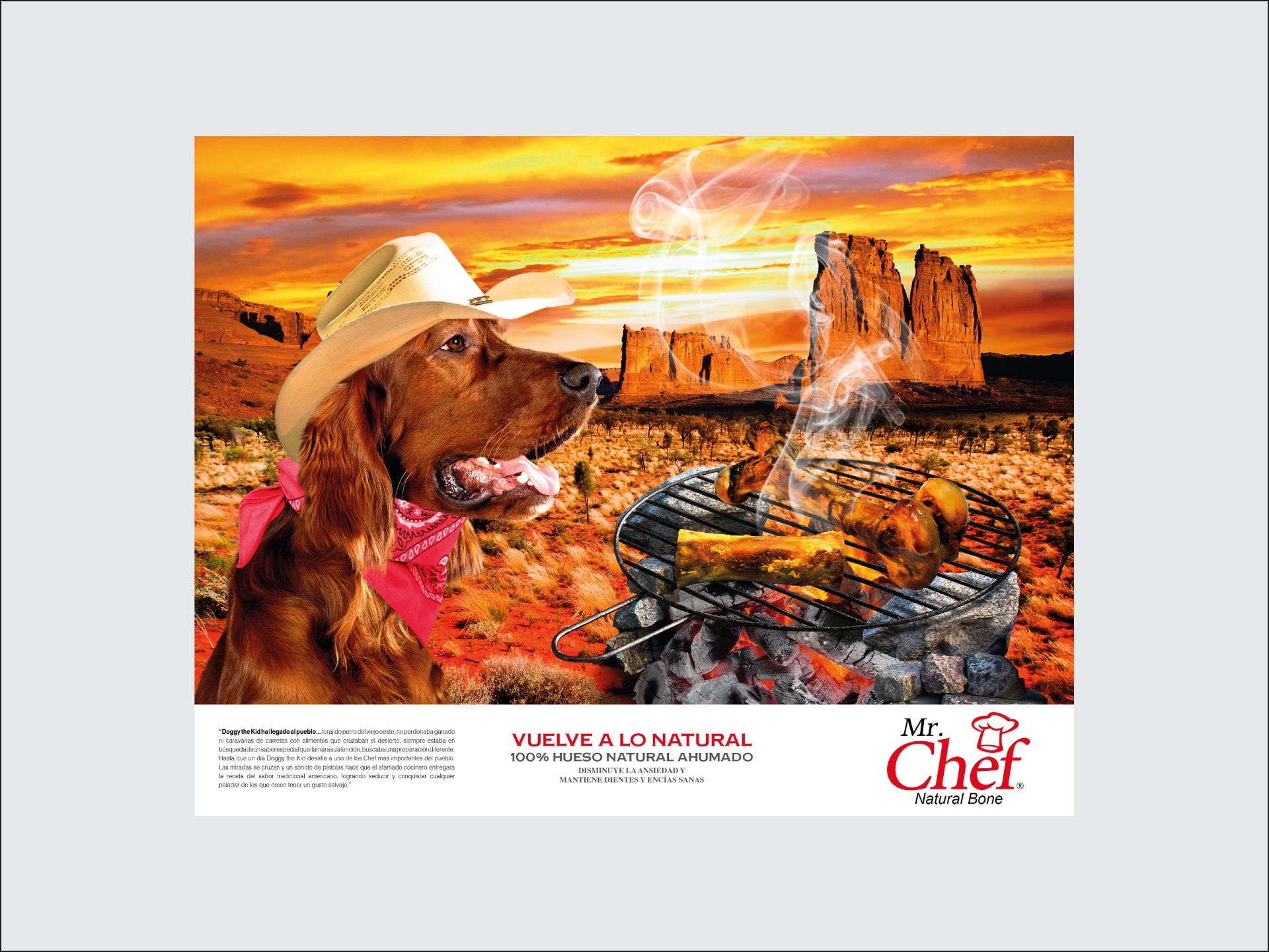 Mr. Chef · Natural Bone